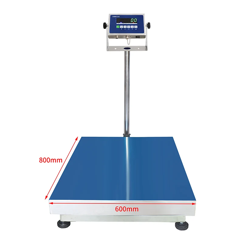 Stainless Steel Weighing Instrument
